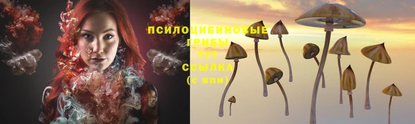ПСИЛОЦИБИНОВЫЕ ГРИБЫ Алексеевка