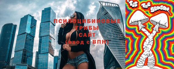 ПСИЛОЦИБИНОВЫЕ ГРИБЫ Алексеевка