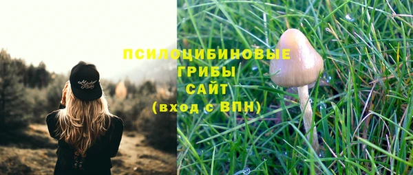 spice Алзамай