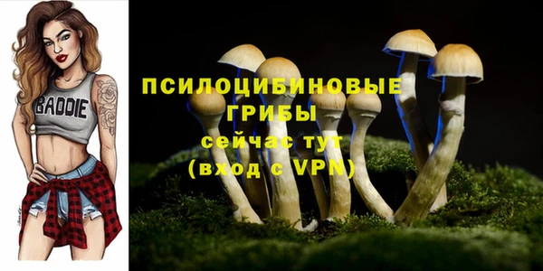ПСИЛОЦИБИНОВЫЕ ГРИБЫ Алексеевка