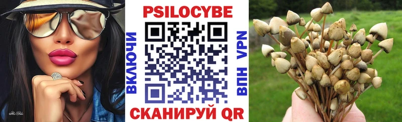 Псилоцибиновые грибы MAGIC MUSHROOMS  Змеиногорск 